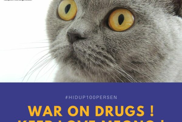 WAR ON DRUGS, KEEP LOVE MEONG ! WAR ON DRUGS, KEEP LOVE MEONG !